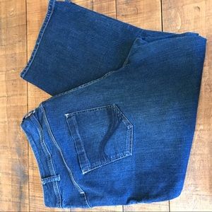 Lane Bryant Capri Genius fit size 24